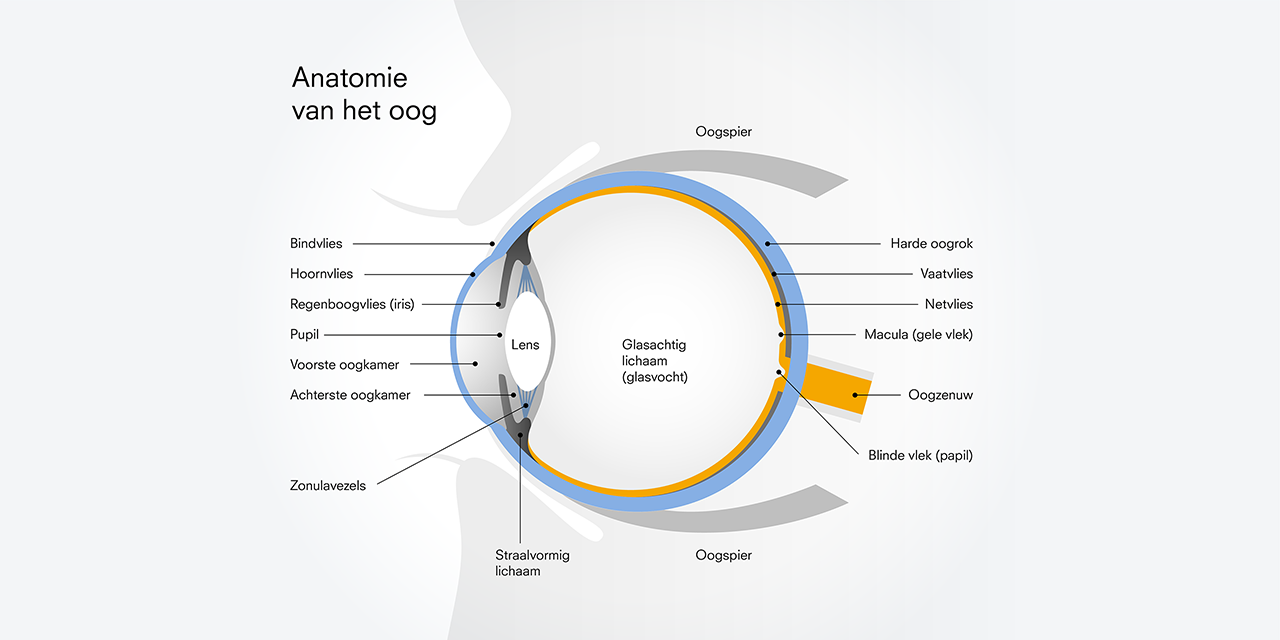 Data voor jou